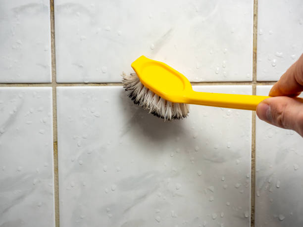 Best Certified Mold Removal  in Crested Butte, CO