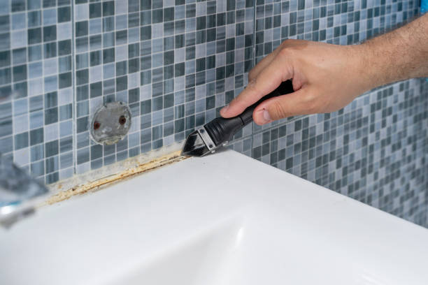Best Mold Removal Company Near Me  in Crested Butte, CO
